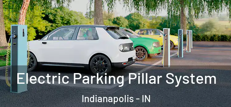  Electric Parking Pillar System Indianapolis - IN