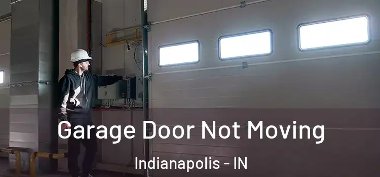 Garage Door Not Moving Indianapolis - IN