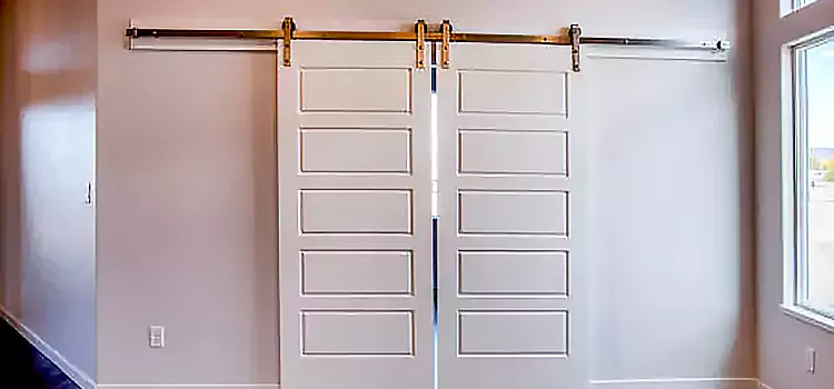 Glass Barn Door with Installation Hardware Kit Indianapolis