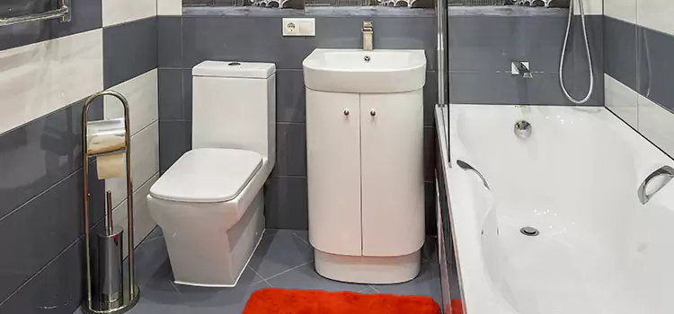 Hansgrohe Shaving Mirror Indianapolis